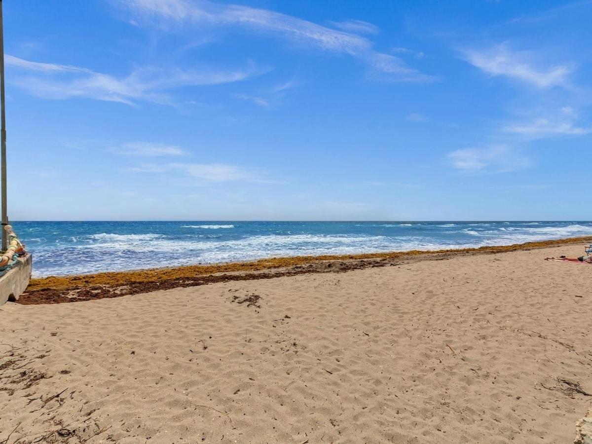 The Shell On Walnut 1Br1Bath Hollywood Beach Free Parking Dania Beach Luaran gambar